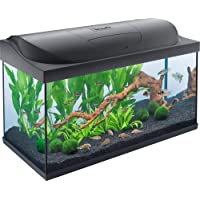 Los mejores  - Tetra Starter Line LED Acuario 105 L - Juego completo que incluye iluminación LED- un acuario estable para principiantes…
